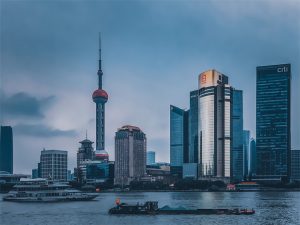 免费会员制网站会员发布的信息侵权，我是平台方承担什么责任？