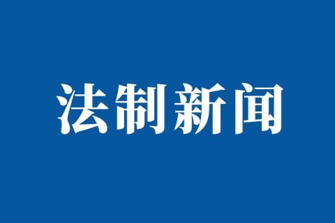 白皮书：中国积极探索网络司法模式