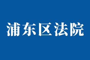 浦东新区法院上诉到哪个中院